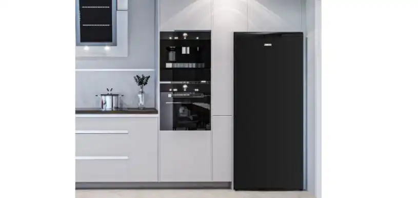 Zanussi Defrost Refrigerator, 320 Liter, Black - ZRA32103BA