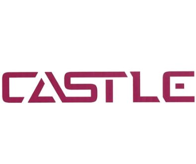Castle
